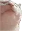 catjam