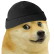 DogeThief