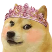 prinzessDoge
