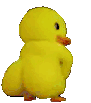 Duck Shaker Discord Emoji