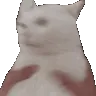 catshake