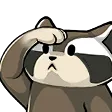 zaqSalute