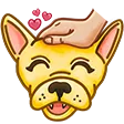 twospo1LilyPet