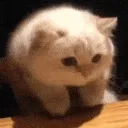 hyperWOW