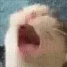 CATaaaaaaaaaaaaaaaaaaaaaaaaaaa