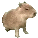 capybara animated emote from Speakeasy