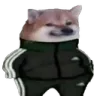 slavicheems