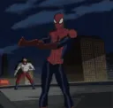 SpiderDance