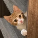 Maeve_peekin