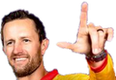 Ervine Discord emoji
