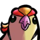 birb birb