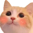 alex0nBlushy