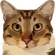 cat Discord Emoji