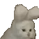 catnod catnod