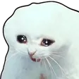 Cryyell