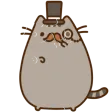 dapper_pusheen