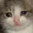 SadCat