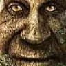 wisetree wisetree