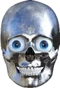 skull