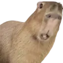 Asparagus