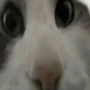 HUH