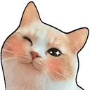 WinkCat