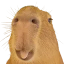 Sillybara