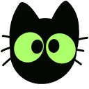 kittyshocked