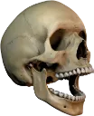 hornswoggled