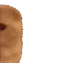 CatPeek
