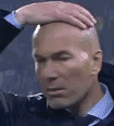 fmu_zidane