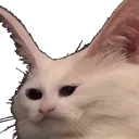 okretard