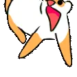 ferretzoomiesrainbow