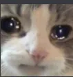 depression