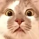 STARE