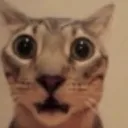 emoji_92