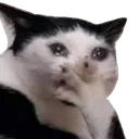 catto_cryomg