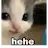 FZ_hehe Discord Emoji