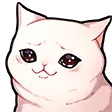 09KittyCryingNF2U