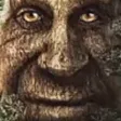 WiseTree
