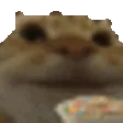 ziggylataChew