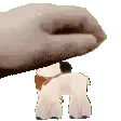 SnowpacaPet