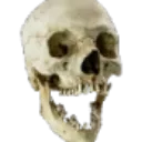 pog