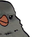 birb2