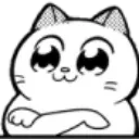 idwin_judging
