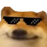 ellomlg