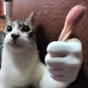 thumbcat