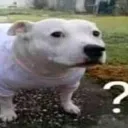 this_creature