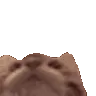 Tasty