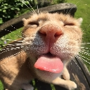 silly_cat Discord emoji